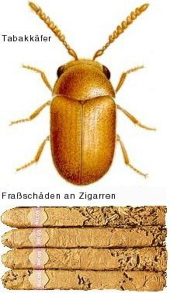 �������� � ������� �������� �����