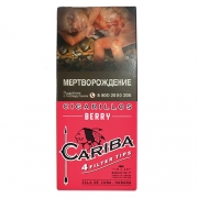��������� Cariba Wood Tip Berry