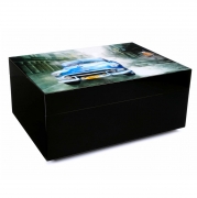 �������� Gentili Blue Car SV50 (�� 50 �����) ������ ���