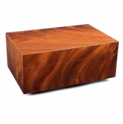 �������� Gentili Piuma - H03 (�� 40 �����)