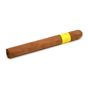������ Montosa Amarillo Churchill