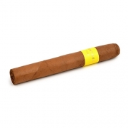 ������ Montosa Amarillo Toro